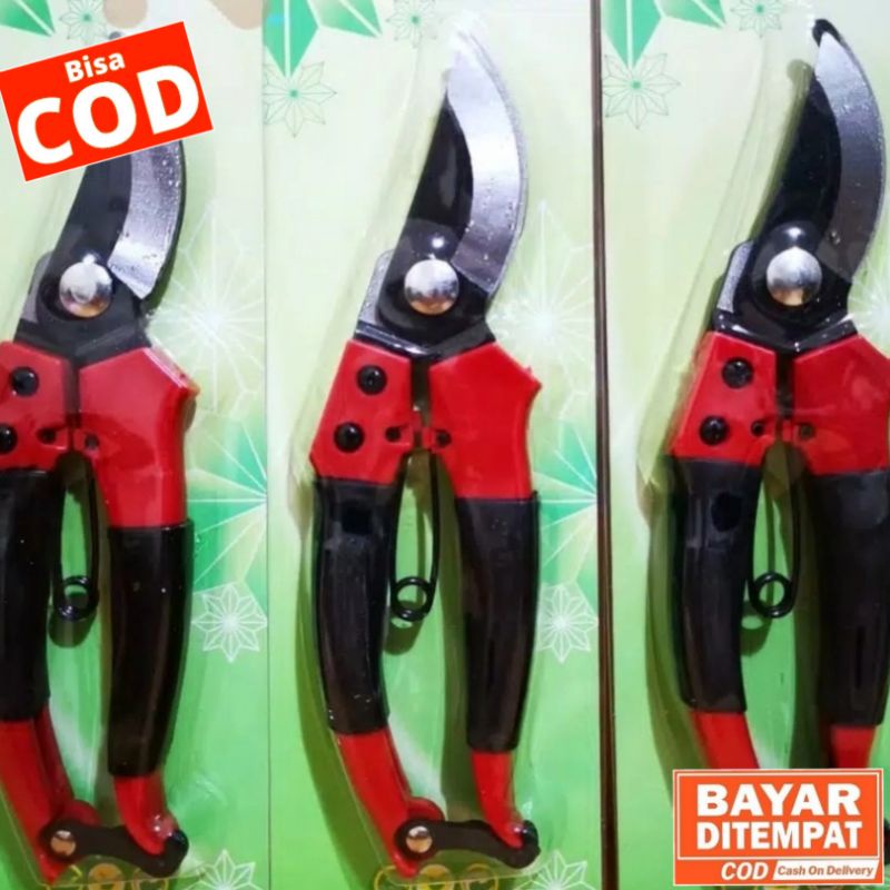 GUNTING DAHAN, GUNTING RANTING (KENMASTER)