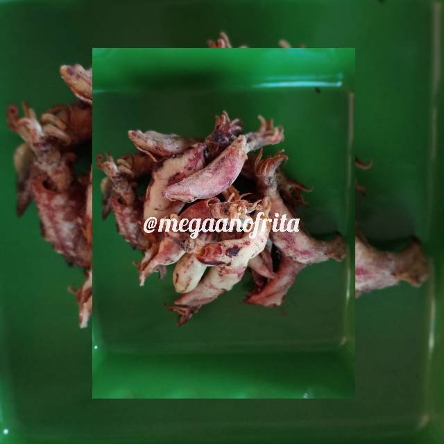 

Ikan Cumi Asin Kering 100 gr