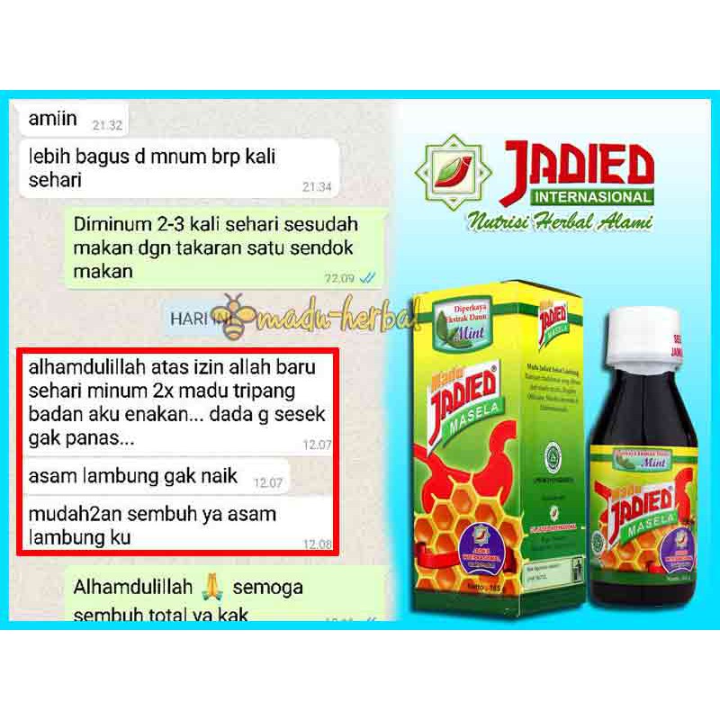 ™319! Obat Maag Kronis Jadied masela Lambung Mengatasi masalah Pencernaan - Obat maagh herbal