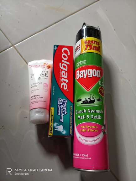 Baygon Aerosol Flower Garden 600+75ml