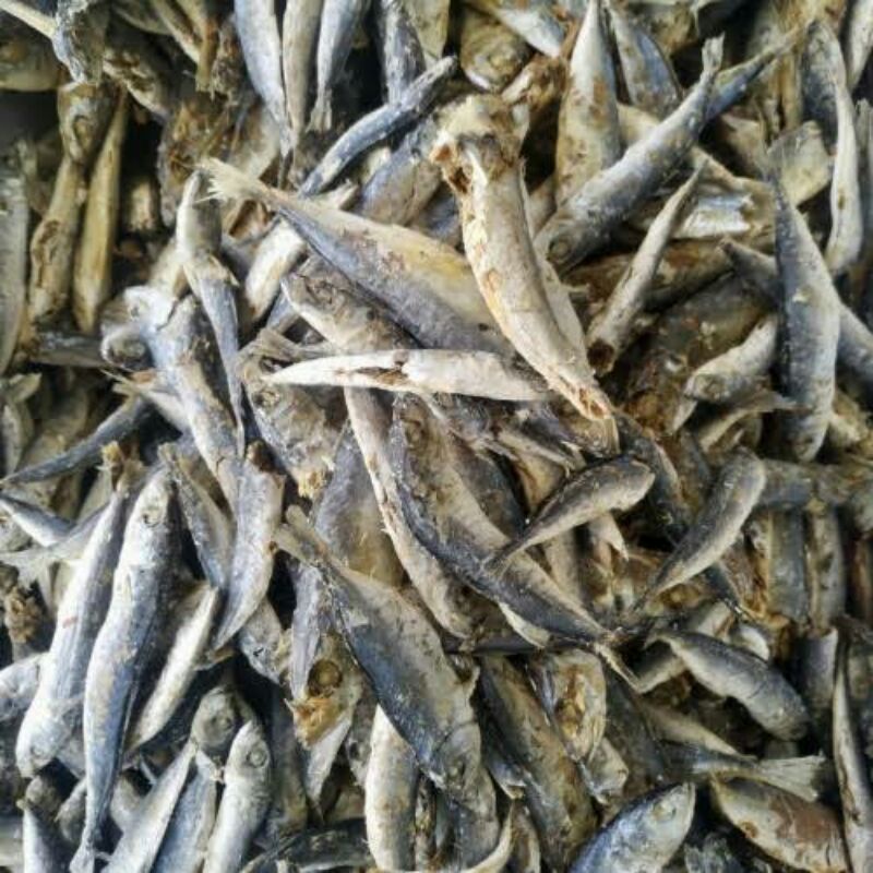 

ikan pindang kering asin layang