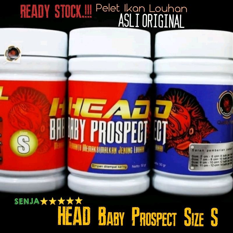 JDL Head Baby Prospect JDL Head Baby Prospect Size S Pelet Louhan Terbaik Asli Original