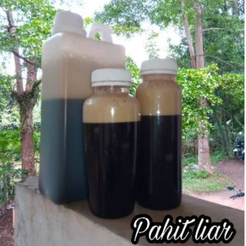 

Madu Hitam Pahit Liar Curah 1kg