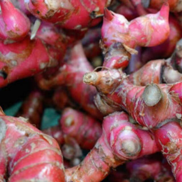 Jual TURUN HARGA jahe merah jahe sehat dari kebun jahe merah isi 1 kg