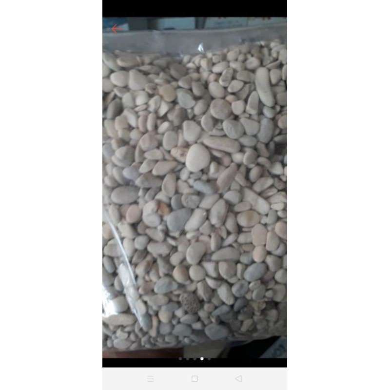 batu koral putih ukuran kecil 1kilos
