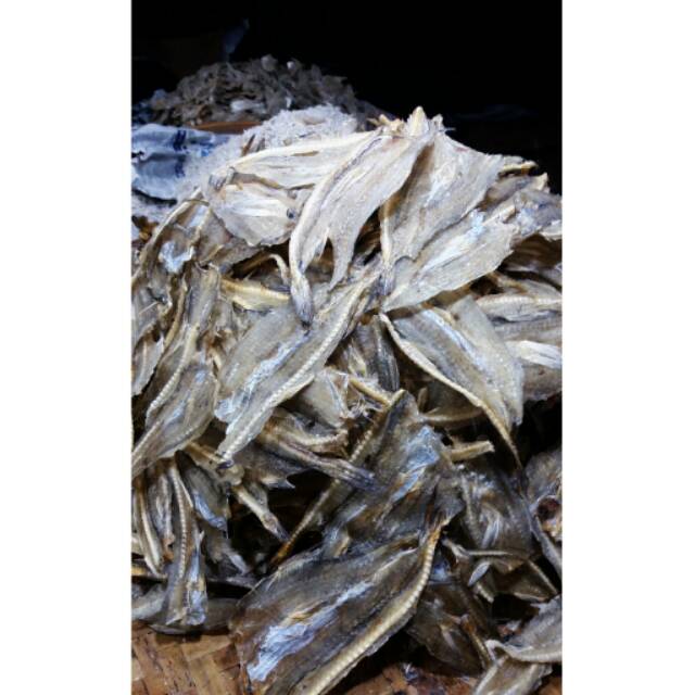 

IKAN LUMI-LUMI / SITING BELAH/ IKAN KERTAS