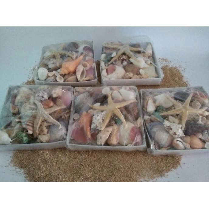 

Promo PAKET LENGKAP ANEKA KULIT CANGKANG KERANG Terlaris