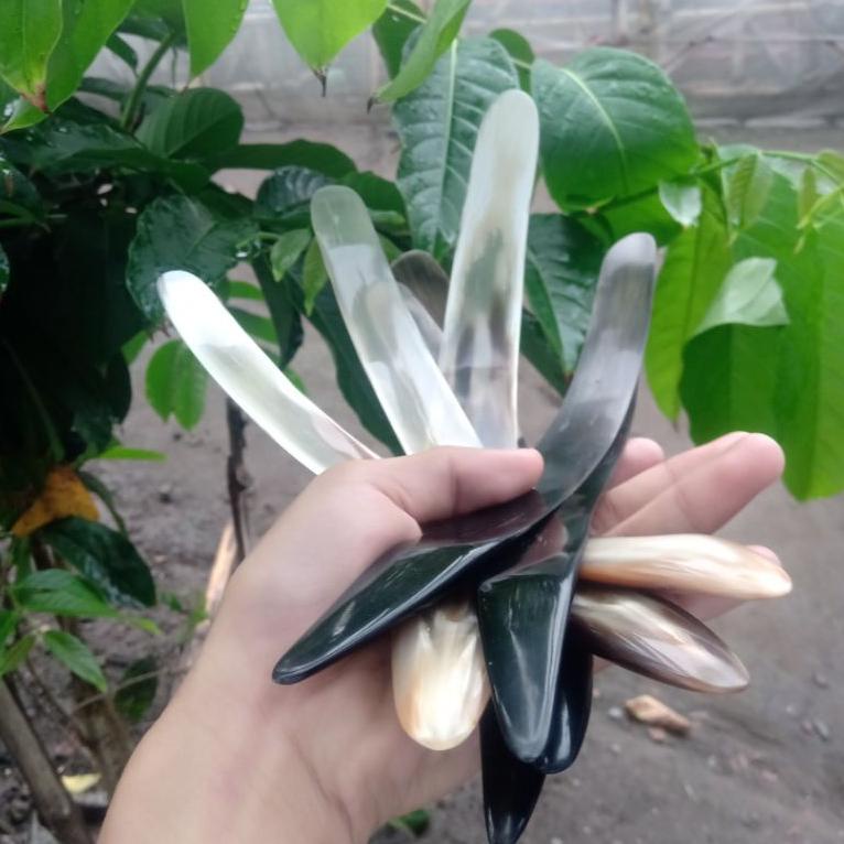 PISAU TANDUK KERBAU/SAPI KUPAS KELAPA MUDA LnN |Diskon