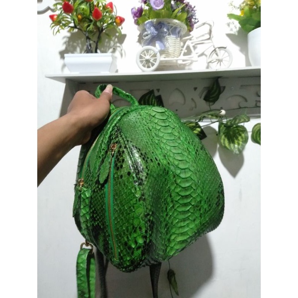 tas randel kura kura