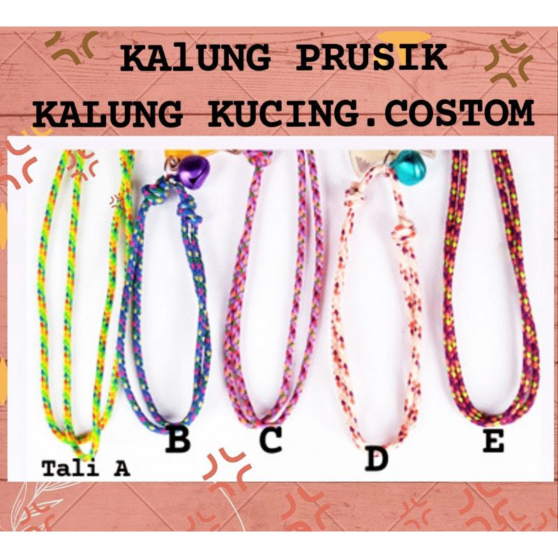 kalung kucing  - kalung prusik - kalung kucing petshop - kalung lucu