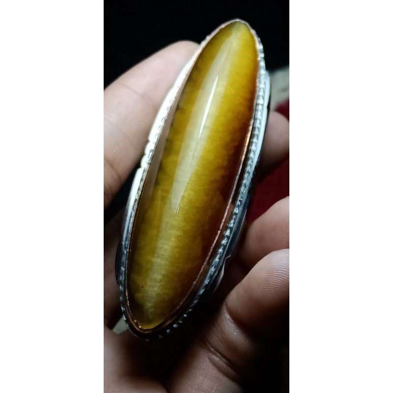 PANDAN NANAS RUDAL TOP HQ