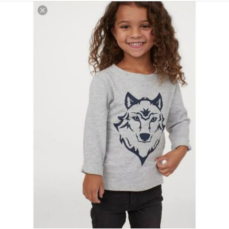 Kaos Anak Laki Laki HM hnm h&m 2-3y, 3-4y, 4-5y