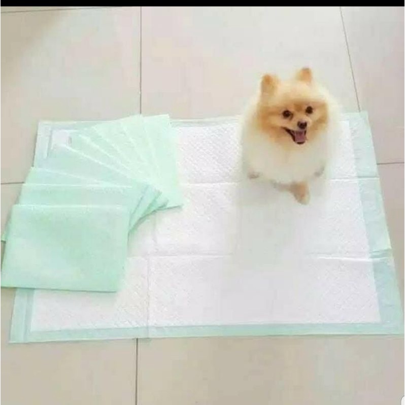 Underpad Perlak Kucing Anjing Ukuran 60x90 cm (Besar Extra Large)