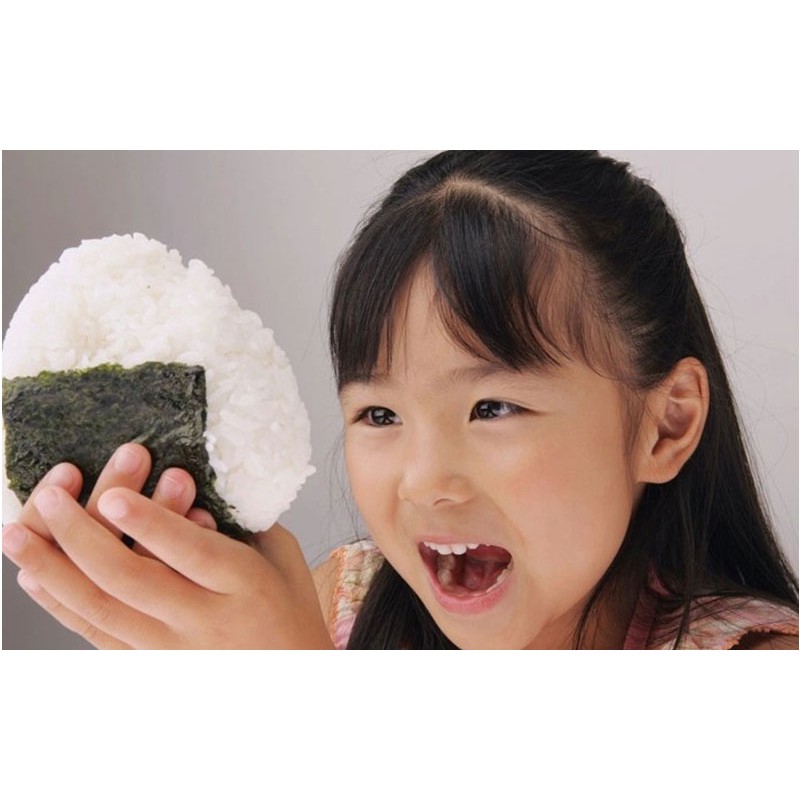 Cetakan Sushi / Onigiri / Bento Bentuk Segitiga Diy