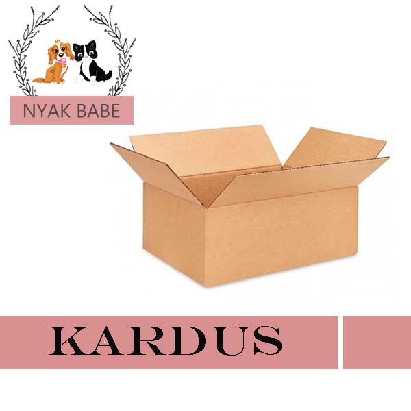 

Extra Kardus Untuk Packing Lebih Aman