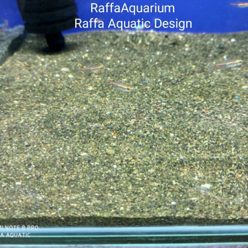 Pasir Moza 1 karung Pasir aquarium Aquascape Pasir Hiasan