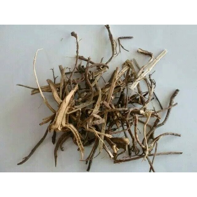 

100 G GR GRAM 北柴胡 BEI CHAI HU THOROWAX ROOT