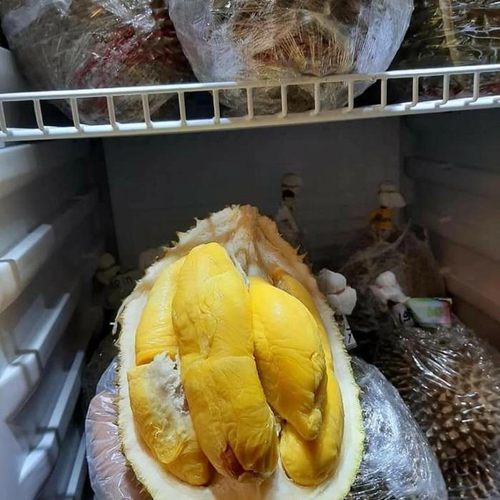 

Makanan Beku | Durian Super Malay D24