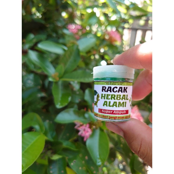 Jual Racun Cicak Alami Ampuh Termurah Dan Terlaris Tangan Pertama Indonesia Shopee Indonesia