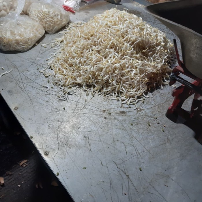 

Sayur Toge / Tauge panjang 1kg (1000g)