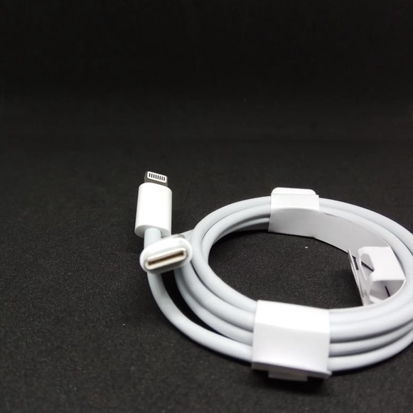 Charger Chasan casan 18 watt Fast Charging USB to Lightning for XS MAX / 11 Series
