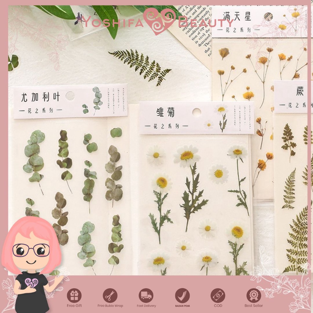 Sticker PET Transparan Bunga Daisy Clover | Vintage PET Sticker Gysophila Flowers Retro Plant