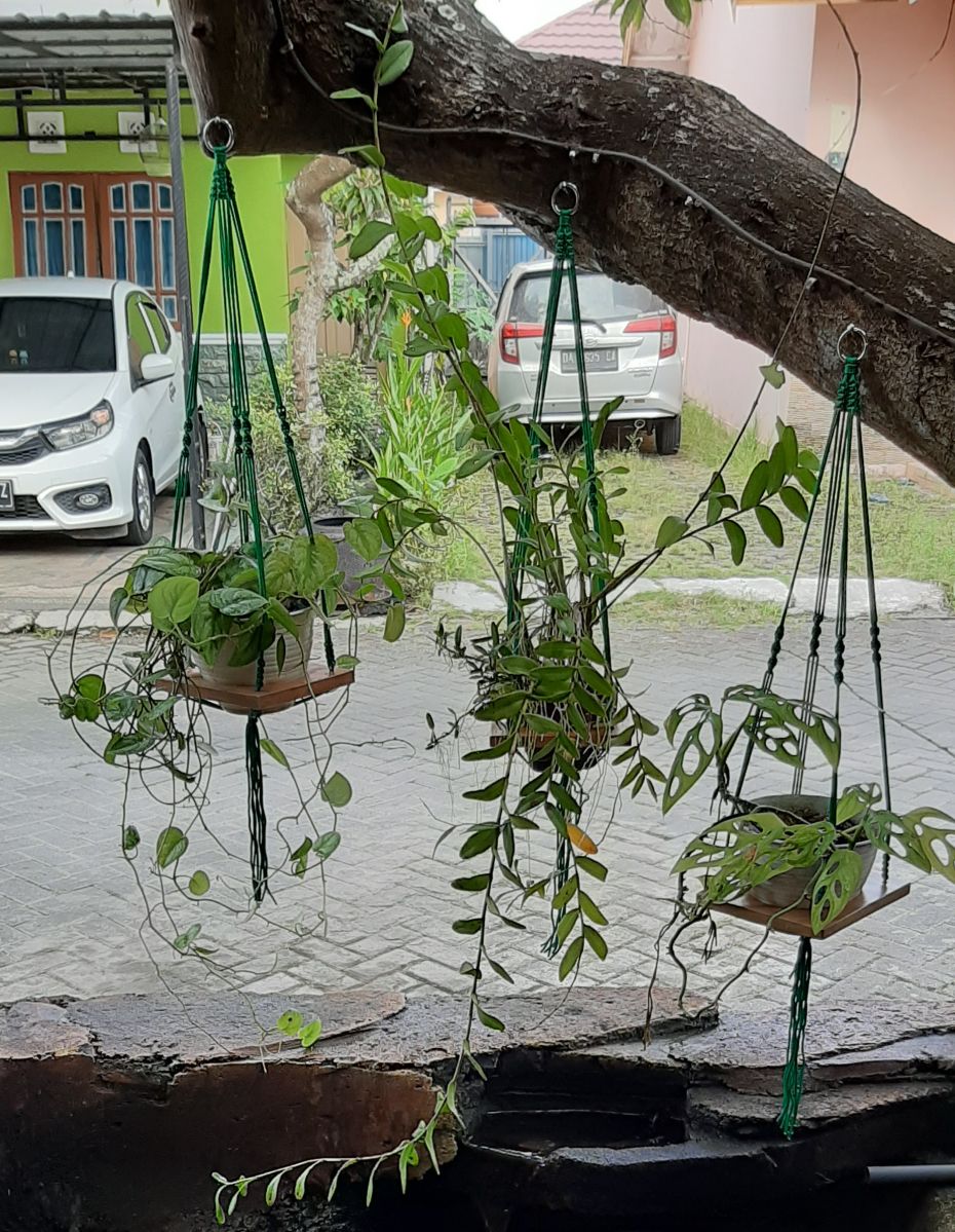 Macrame Hanging Shelf - Tali Pot Gantung - Tatakan Pot Kayu