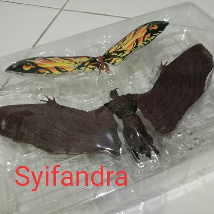 [mainan-hobi] SHF Mothra dan Rodan Godzilla 2019