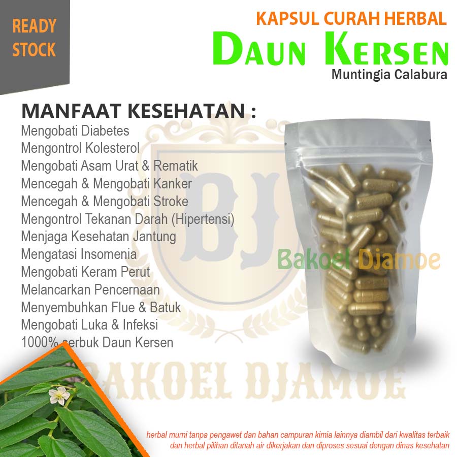 

Kapsul curah herbal daun kersen kapsul herbal diabetes kolesterol asam urat rematik