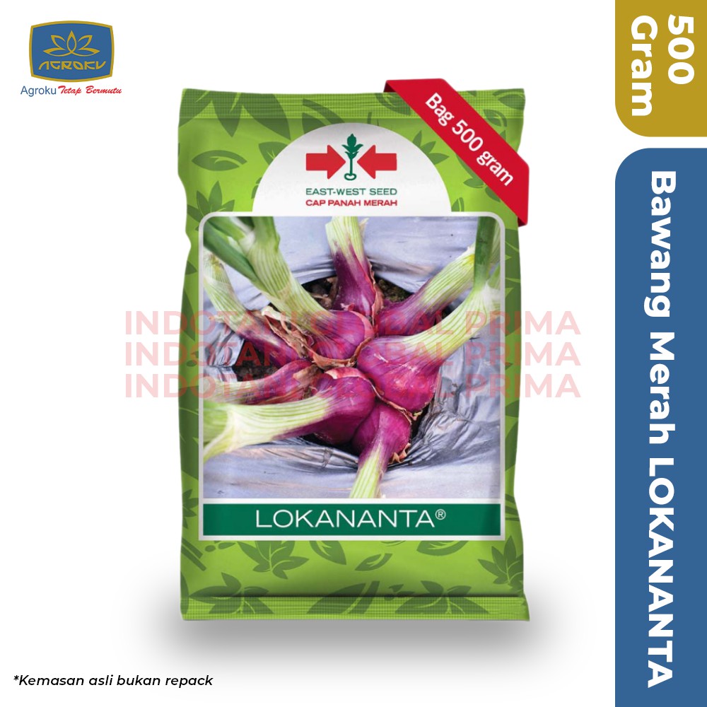 Benih Bawang Merah LOKANANTA isi 500 Gram - Cap Panah Merah