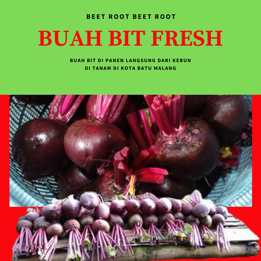 Jual Beetroot Buah Bit Segar Jakarta Timur Kantong Uang Tokopedia