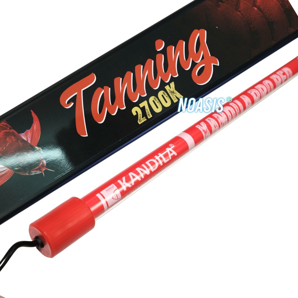 LAMPU KANDILA PRO RED TANNING 2700 K CELUP T5 AQUARIUM IKAN ARWANA