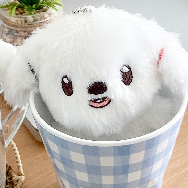 baca deskripsi  JUNGWOO DOUBLE JUNG DOLL NCT BONEKA