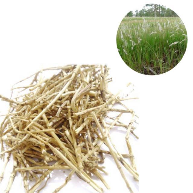 

AKAR ALANG ALANG HERBAL 100 GRAM
