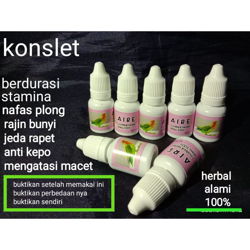 vitamin Lovebird doping juara