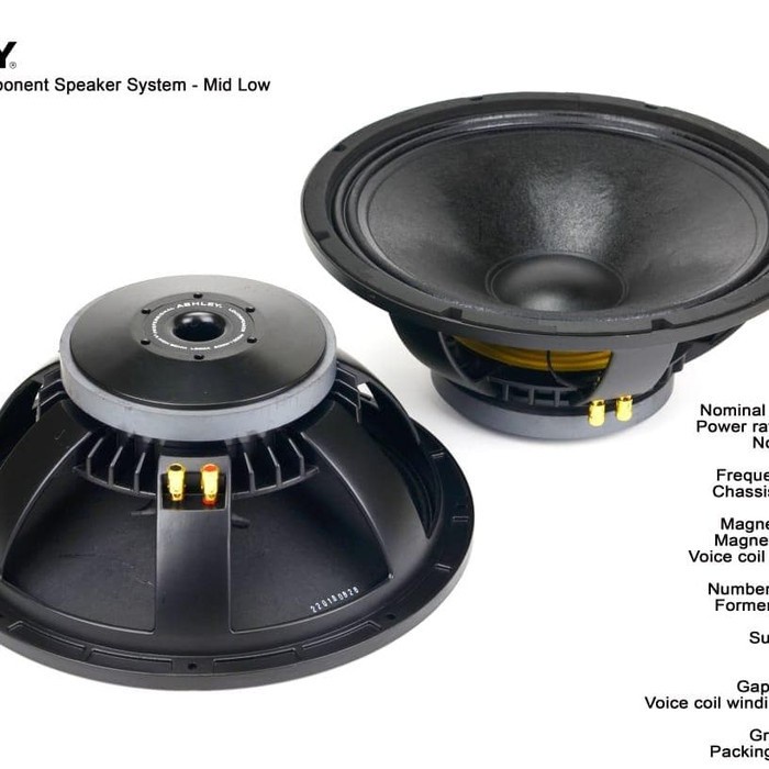 SPEAKER COMPONENT ASHLEY L600A ORIGINAL 15 INCH L 600 A L600 A L 600A