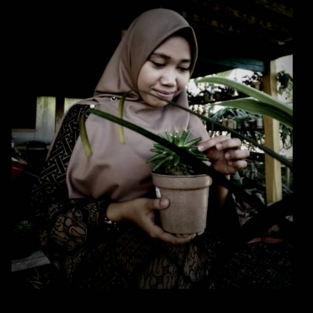 erna_saja