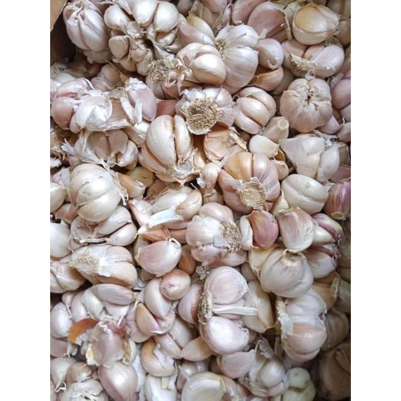 

bawang putih pecahan 1kg murah