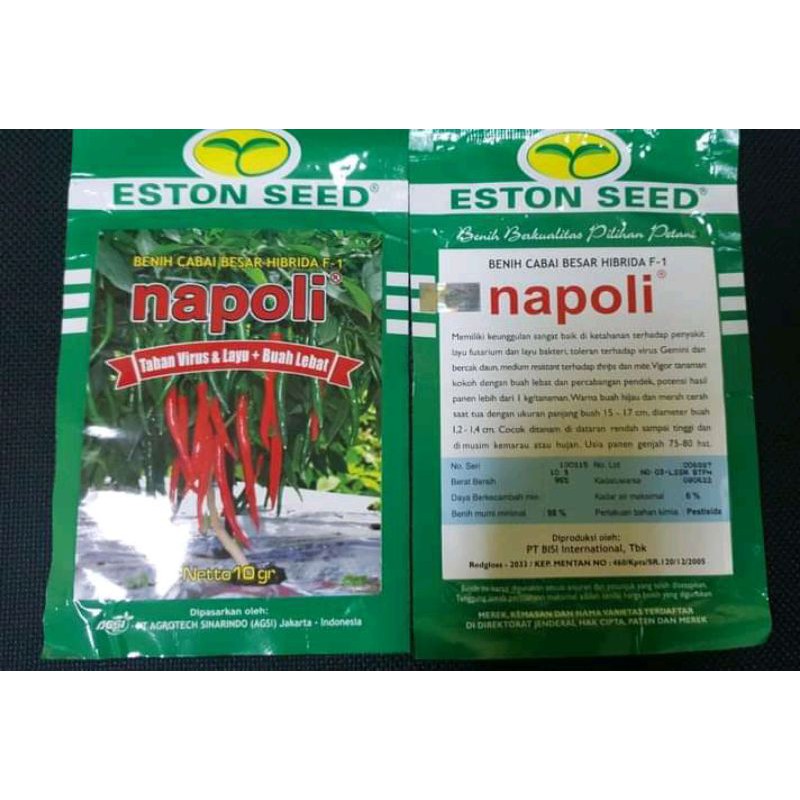 Benih bibit cabe besar Napoli F1 Hibrida 10 gram