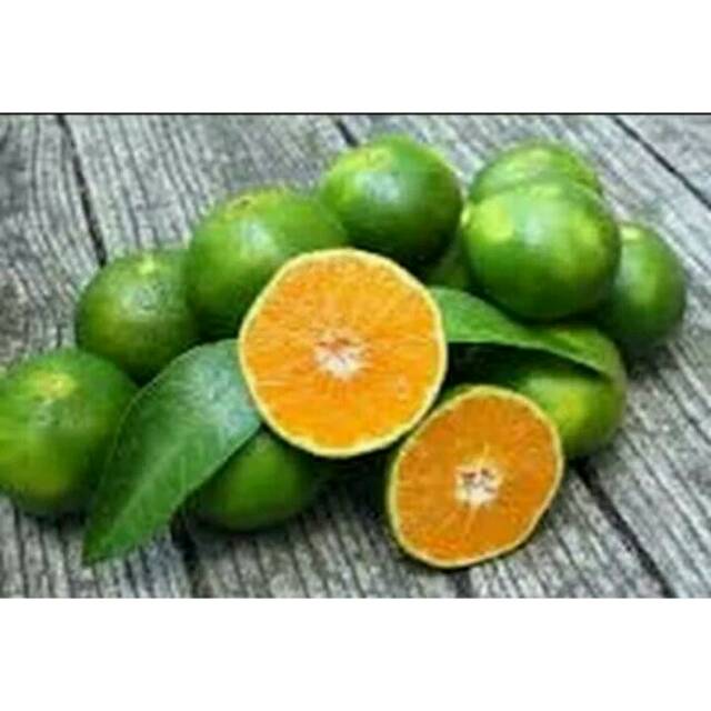

Jeruk peras 500gr
