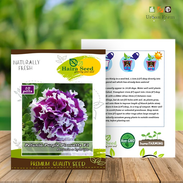 Benih-Bibit Bunga Petunia Purple Pirouette F1 (Haira Seed)