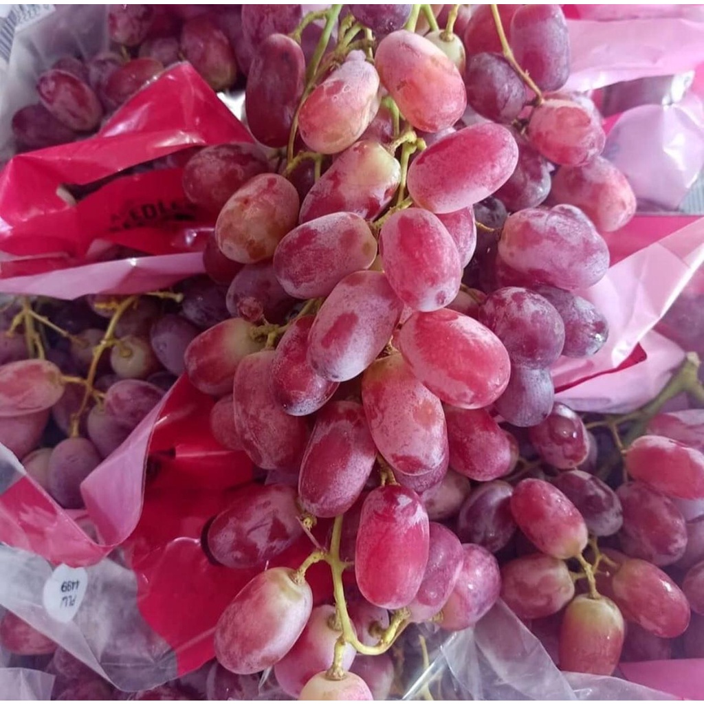

Buah Anggur Merah Crimson Seedless Non Biji | Anggur Merah Import