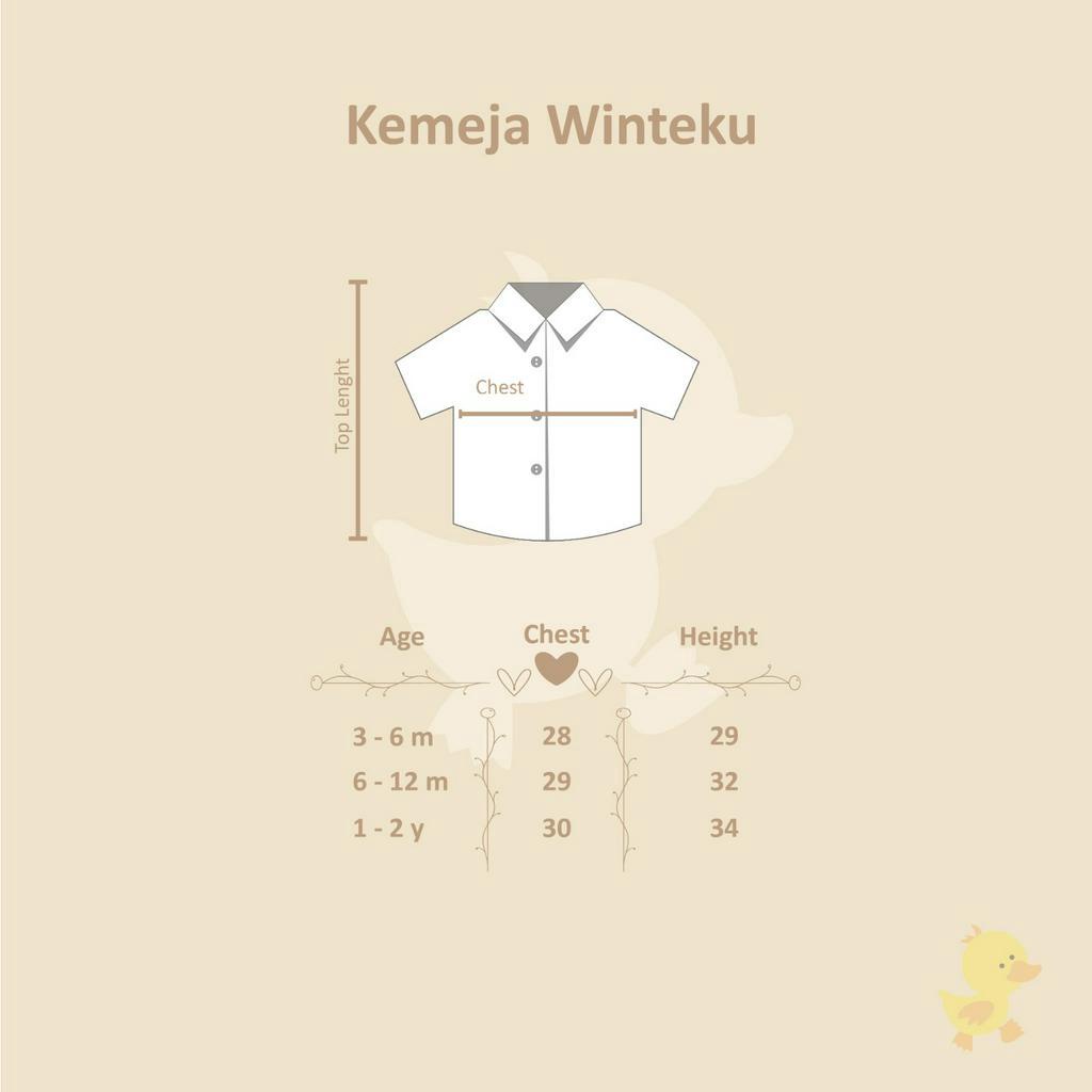 WINTEKU KEMEJA SHORT SERIES BAJU ATASAN ANAK BAJU KEMEJA LENGAN PENDEK BAYI DAN ANAK