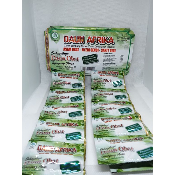daun afrika DAUN AFRIKA KAPSUL ASAM URAT