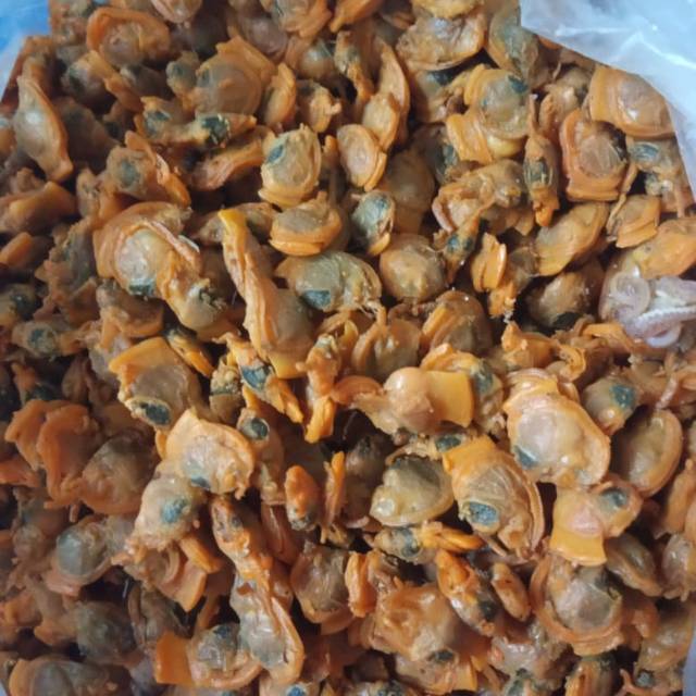 

Kepah ( kerang )