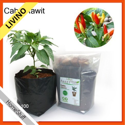 TANAM PAKET MODEL LENGKAP CABE POLYBAG RAWIT LIVINO