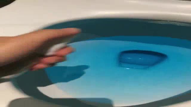 pewangi toilet