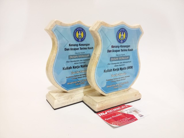 Murah Bibit Pohon Bidara Arab Unggul