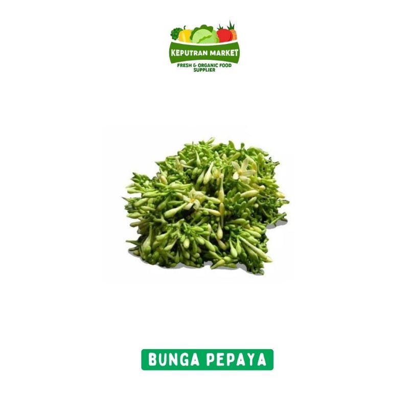 

Bunga Pepaya Per Pack / Sayur Segar