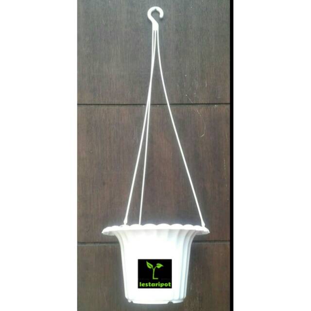 Pot bunga dan tanaman hias gantung mawar putih 20